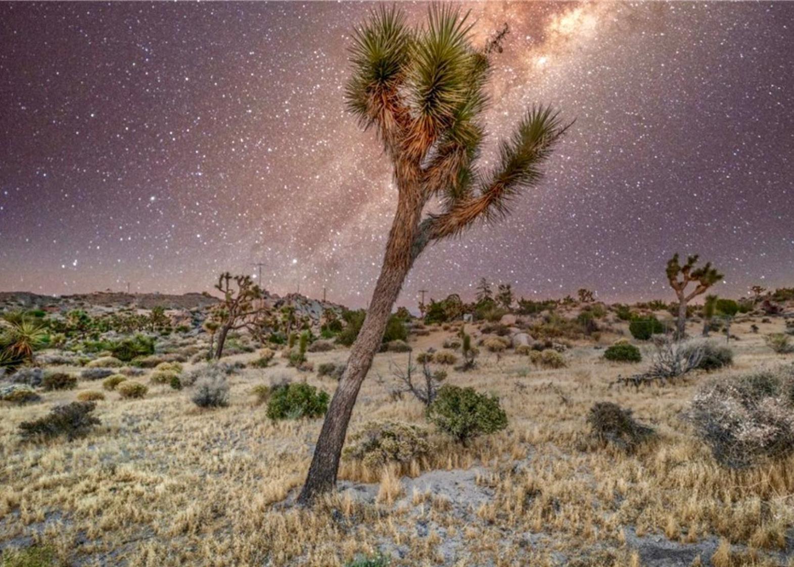 Twin Palms Desert Getaway - Jacuzzi, Fire Pit, Meditation Room & More โจชัวทรี ภายนอก รูปภาพ
